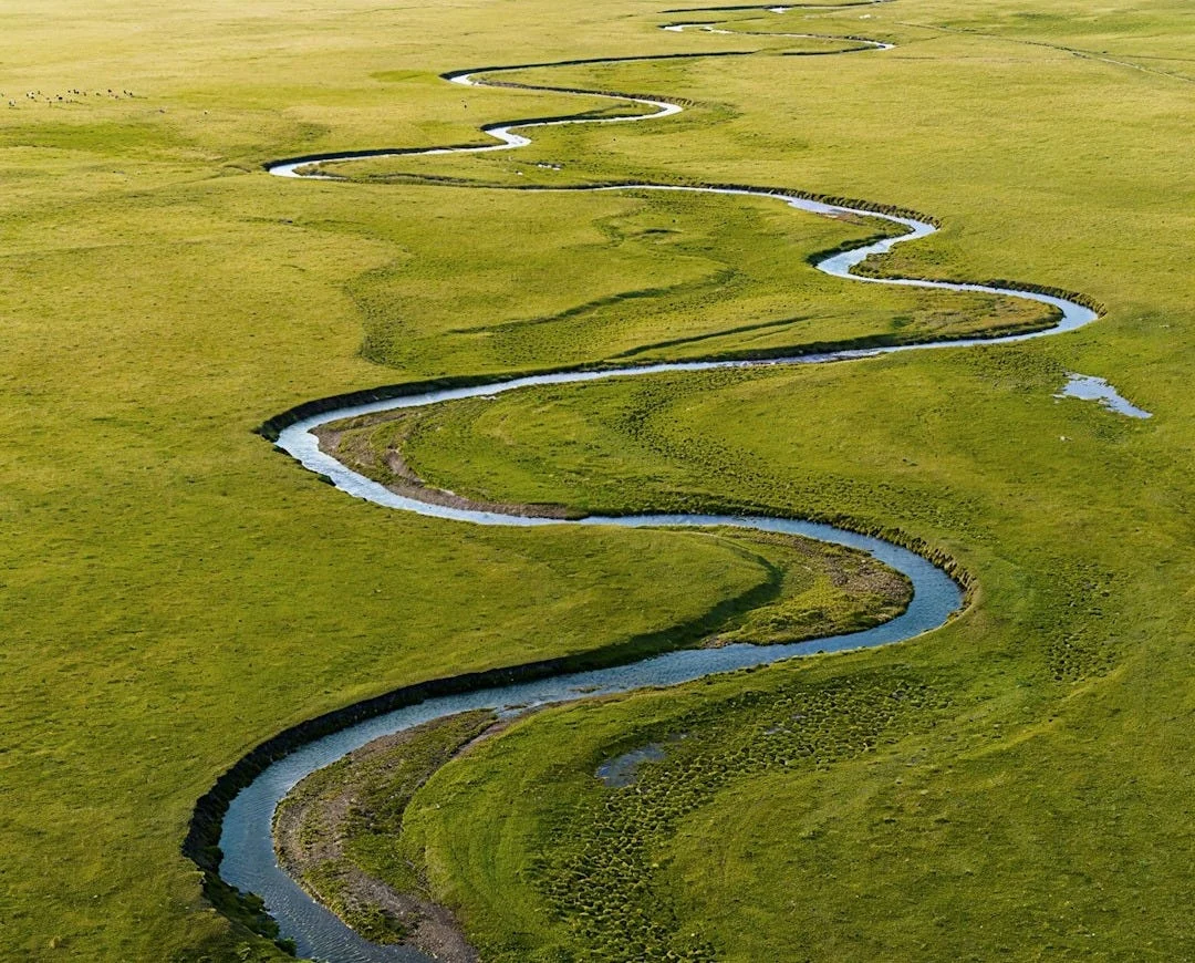 Why Nature Rarely Draws Straight Lines essay image